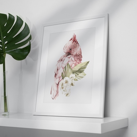 Pink Cockatoo Watercolor Illustration Wall Art Print Unframed - Picture 7 of 11